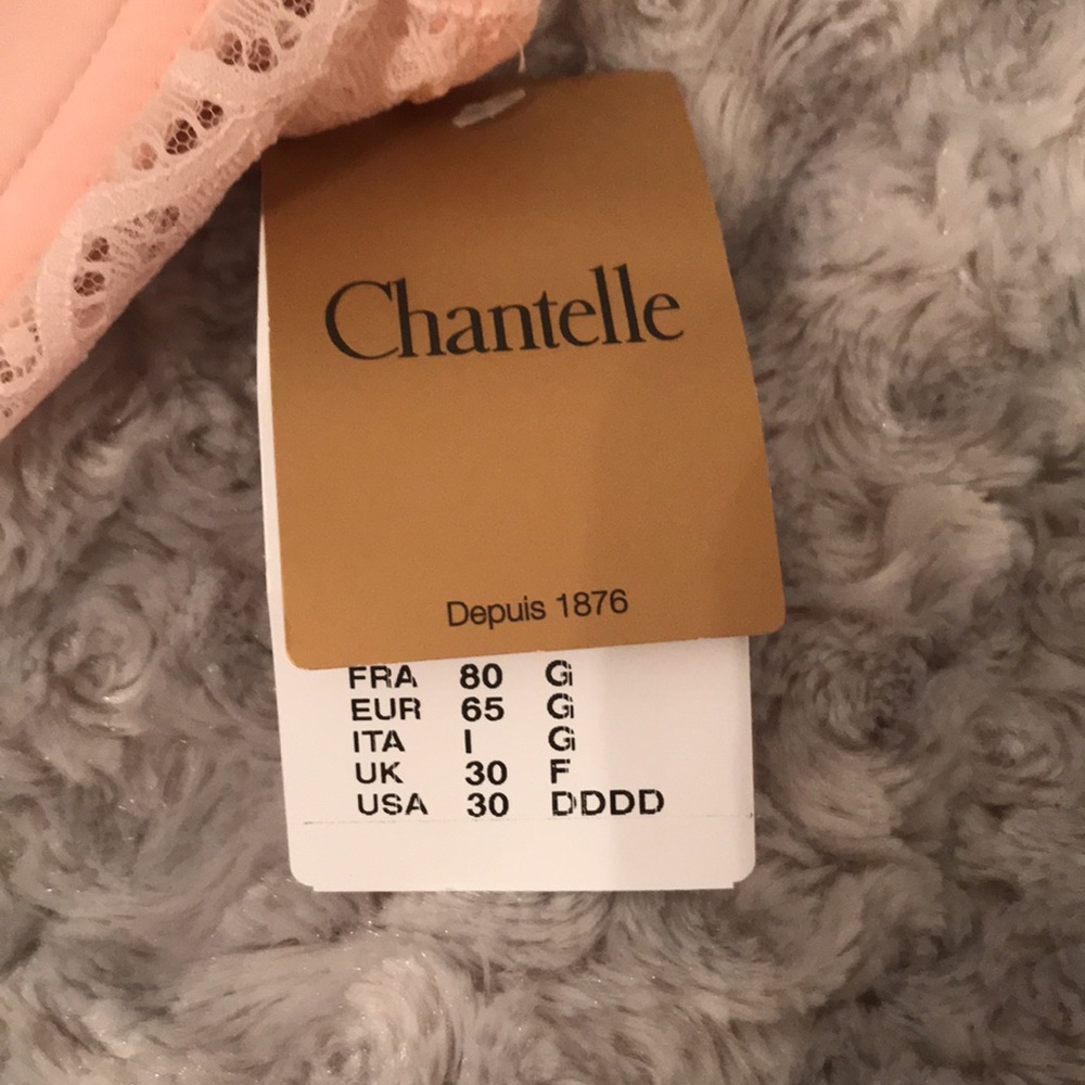 Chantelle Light Pink Merci Demi Underwire T-Shirt Bra 30DDDD NWT - Picture 5 of 14